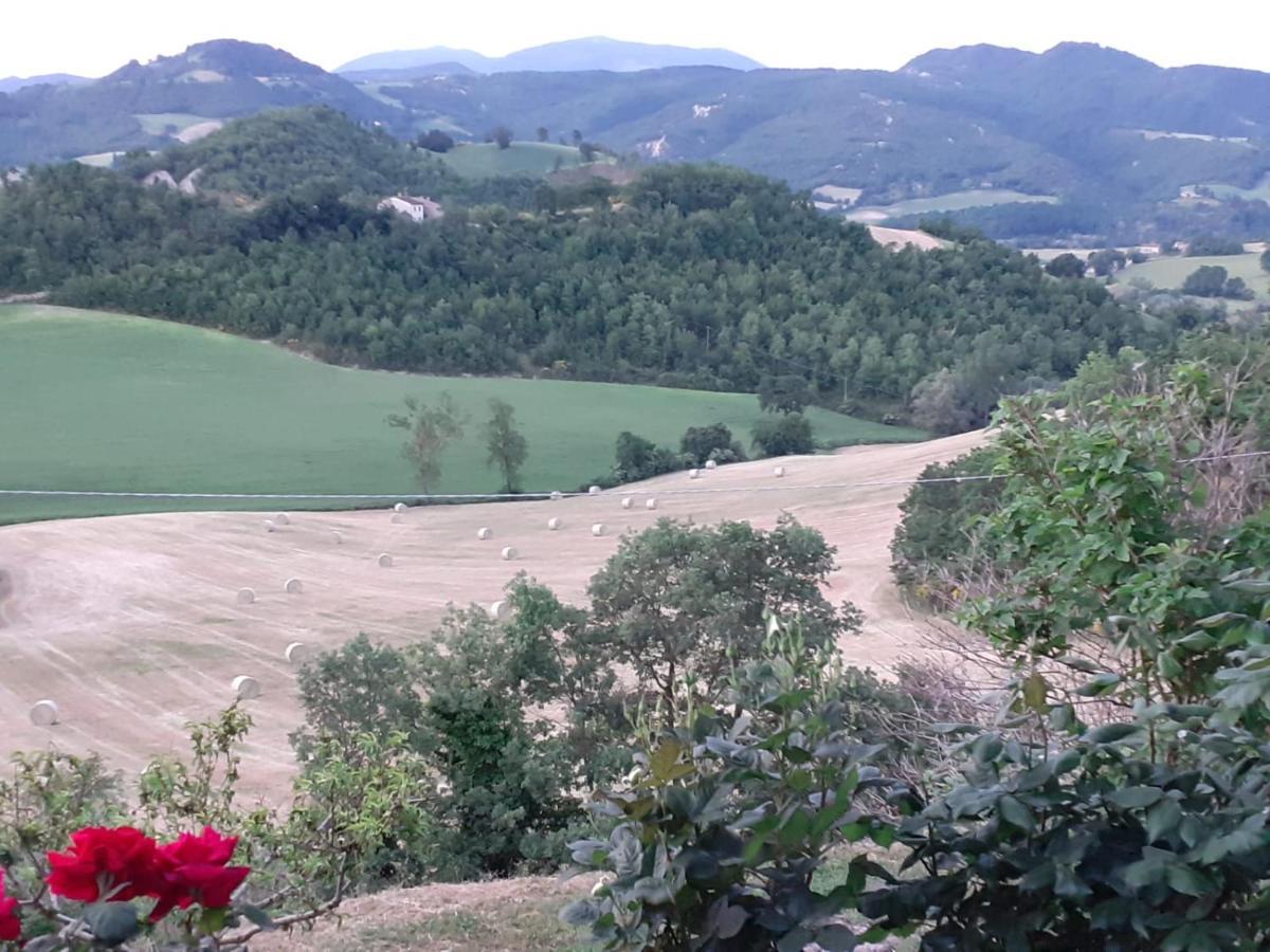 Ca' Gulino - Urbino - Villa Con Minipiscina In Borgo Antico Exterior foto