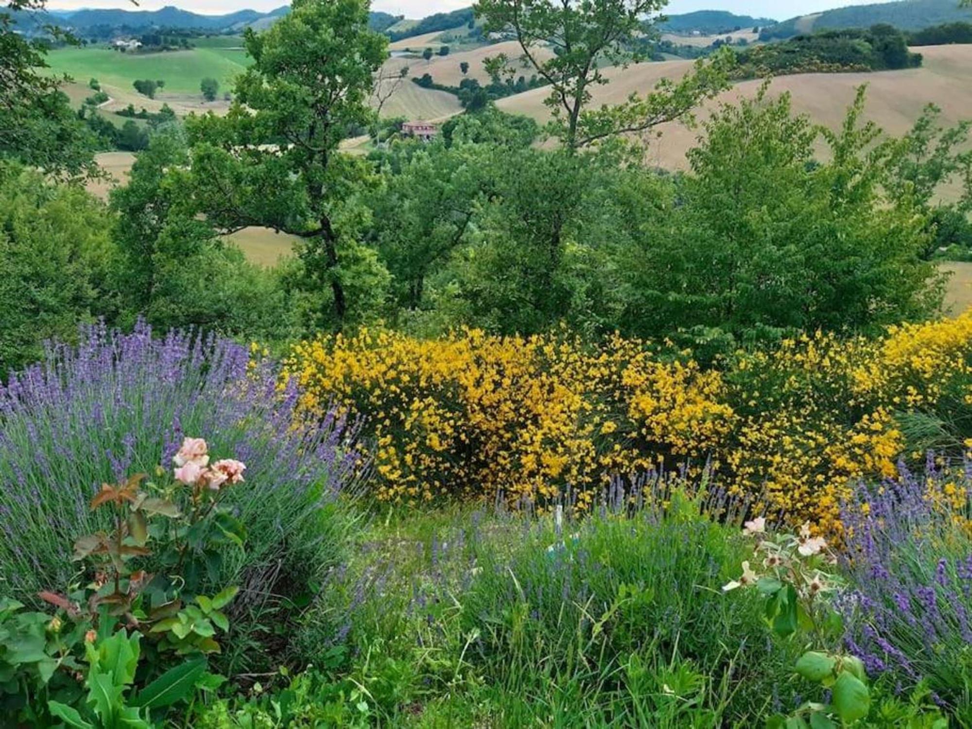 Ca' Gulino - Urbino - Villa Con Minipiscina In Borgo Antico Exterior foto